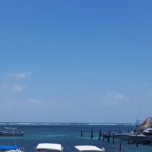 Meet your Posher, Christy